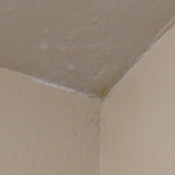 Condensation The Ceiling Of The Closet Think X2about Living Here