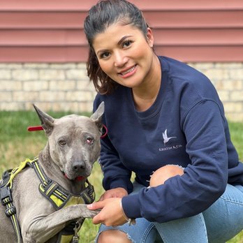 Superior Dog Fence - Did you know we can repair any brand of invisible dog fencing equipment. - Pet Services Near Me Superior Dog Fence - Did you know we can repair any brand of invisible dog fencing equipment. - Pet Services Near Me