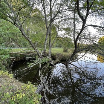 1. Jackson M Ebott Wetland Refuge