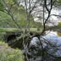 Photo of Jackson M Ebott Wetland Refuge
