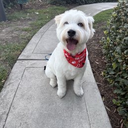 After grooming picture!