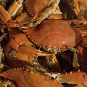 Crabs Plus - a pile of crabs in a container - Seafood Markets Near Me - Woodlynne, New Jersey Crabs Plus - a pile of crabs in a container - Seafood Markets Near Me - Woodlynne, New Jersey