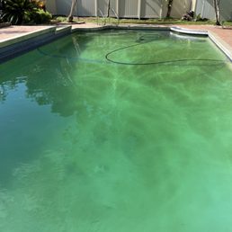 This is the pool after a week of green and I had to add chemicals in an attempt to clear. Ruined scheduled plans for a pool party.