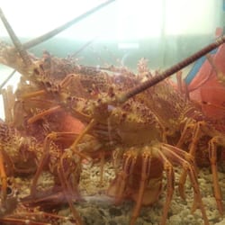 Iron Chef Chinese Seafood Restaurant - Live Lobster