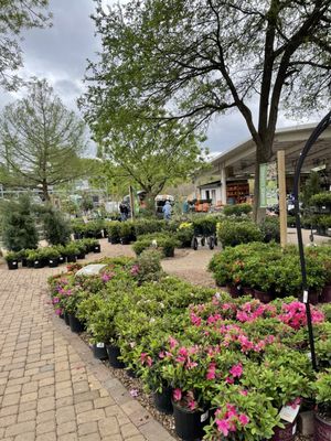 SHOAL CREEK NURSERY - 115 Photos & 148 Reviews - Nurseries & Gardening