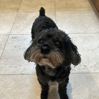 Bark, Bath & Beyond Pet Boutique - Pet Groomers Near Me - Victoria, British Columbia Bark, Bath & Beyond Pet Boutique - Pet Groomers Near Me - Victoria, British Columbia
