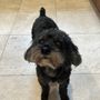Photo of Bark, Bath & Beyond Pet Boutique
