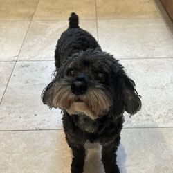 Bark, Bath & Beyond Pet Boutique