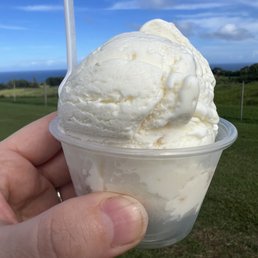 Toasted Coconut Ice Cream