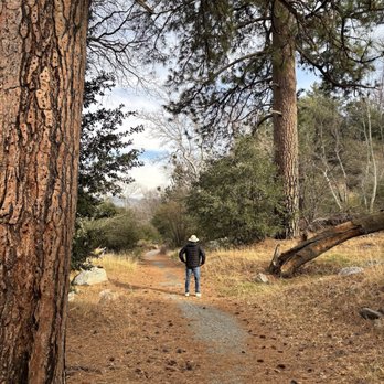 Silverwood Lake State Recreation Area - Parks Near Me - Hesperia, California