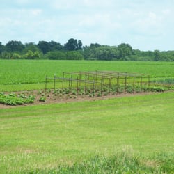 Donnie Appleseed Orchard - Donnie Appleseed Orchard