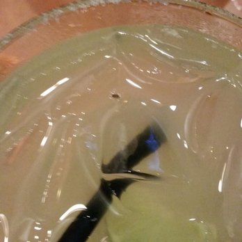Tito's Mexican Restaurant - Fruit fly on the special "Tito's margarita" - Mexican Near Me - San Leandro, California Tito's Mexican Restaurant - Fruit fly on the special "Tito's margarita" - Mexican Near Me - San Leandro, California
