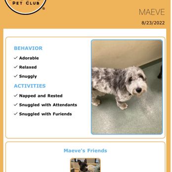PUPS Pet Club - My dog snuggled with no one and she definitely did not make "friends" with Boomtown. She didn't nap and was not relaxed at all. - Pet Groomers Near Me - Chicago, Illinois
