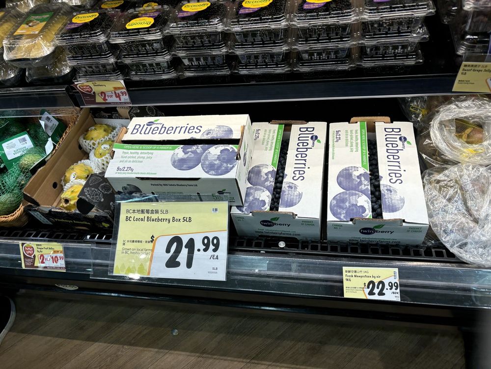 SUNGIVEN FOODS Updated September 2024 52 Photos 5589 Byrne Road