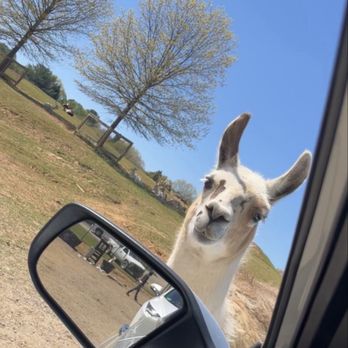Nova Wild - Hello! - Petting Zoos Near Me - Vienna, Virginia Nova Wild - Hello! - Petting Zoos Near Me - Vienna, Virginia
