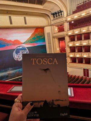 Vienna State Opera by null