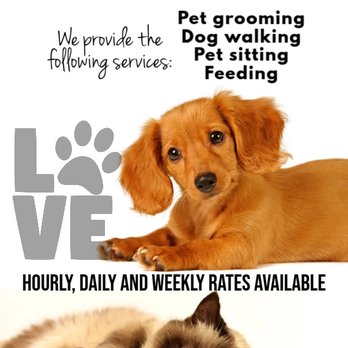 Su Casa Help - We offer pet care and sitting services. - Home Cleaning Near Me Su Casa Help - We offer pet care and sitting services. - Home Cleaning Near Me