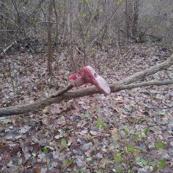 Lillian Anderson Arboretum - Weird random painted shoe-statue thingamabob on a log. Creepy! - Botanical Gardens Near Me - Kalamazoo, Michigan Lillian Anderson Arboretum - Weird random painted shoe-statue thingamabob on a log. Creepy! - Botanical Gardens Near Me - Kalamazoo, Michigan
