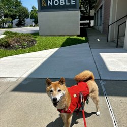 BARNES & NOBLE