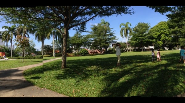 Mount Emily Park by null