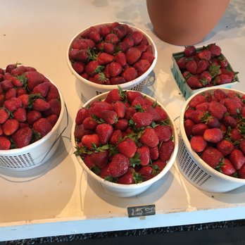 Ten Acre Garden - Pick Your Own Farms Near Me - Canton, North Carolina