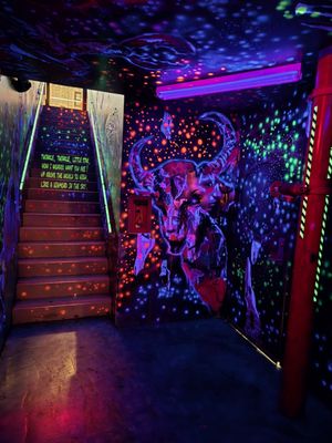 Little Dipper by null