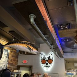 The Dog House - Cool decor