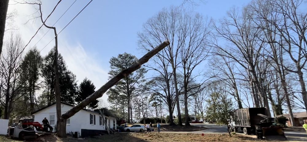 A-Doraville Tree Service - tree service in Doraville, GA