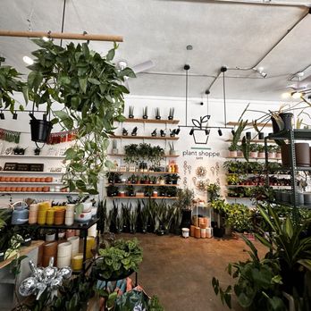 Plant Shoppe - Inside - Nurseries & Gardening Near Me - San Antonio, Texas Plant Shoppe - Inside - Nurseries & Gardening Near Me - San Antonio, Texas