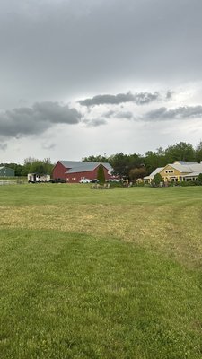 Sheldrake Point Winery by null