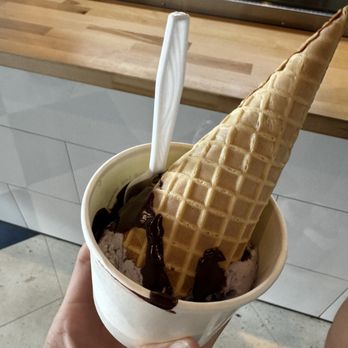Brown Dog Ice Cream - Blueberry ice cream in waffle cone w/waffle cone - Ice Cream & Frozen Yogurt Near Me - Cape Charles, Virginia Brown Dog Ice Cream - Blueberry ice cream in waffle cone w/waffle cone - Ice Cream & Frozen Yogurt Near Me - Cape Charles, Virginia