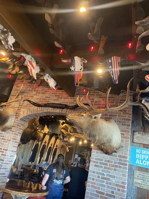 DOC HOLLIDAY’S ROADHOUSE - 32 Photos & 10 Reviews - 6010 Seawall Blvd