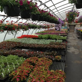 Ossipee Trail Garden Center - Nurseries & Gardening Near Me - Gorham, Maine Ossipee Trail Garden Center - Nurseries & Gardening Near Me - Gorham, Maine
