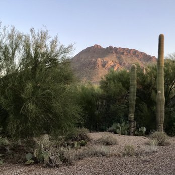 Cat Mountain Lodge & Roadside Inn - View out our patio door - Bed & Breakfast Near Me - Tucson, Arizona Cat Mountain Lodge & Roadside Inn - View out our patio door - Bed & Breakfast Near Me - Tucson, Arizona