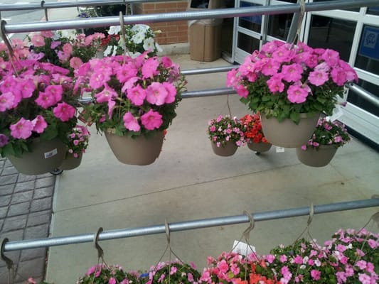 Walmart Supercenter by null