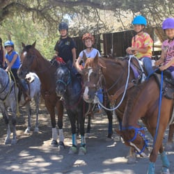 Martin Performance Horses - Fun Supportive environment