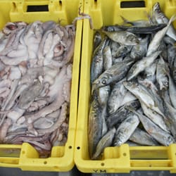 Atouli Seafood