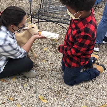 Rose Bridge Farm & Sanctuary - My son and I bottle feeding a goat. - Ranches Near Me - Dresher, Pennsylvania Rose Bridge Farm & Sanctuary - My son and I bottle feeding a goat. - Ranches Near Me - Dresher, Pennsylvania