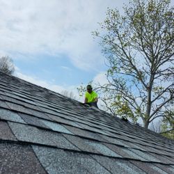 Martin's Tree Service & Lawn Care