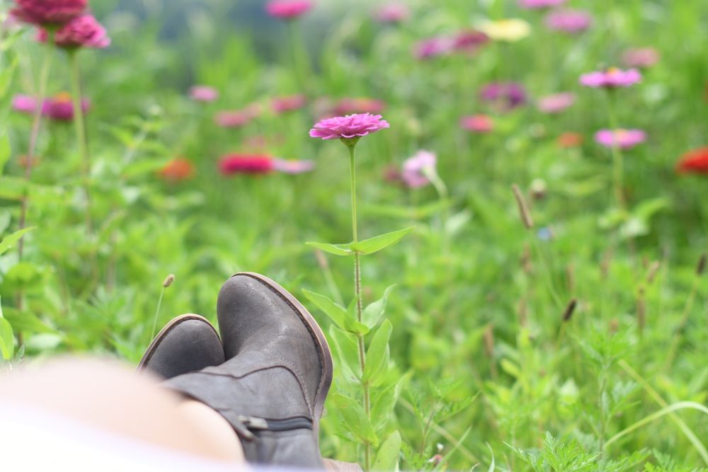 Hope Hill Lavender Farm - beekeeping in Pottsville, PA