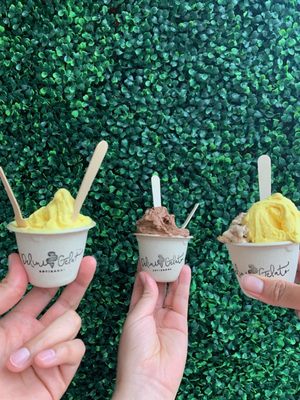 Delini Gelato by null