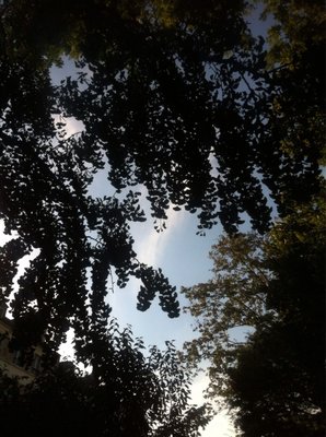 Square du Temple - Elie Wiesel by null