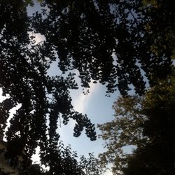 Square du Temple - Vue d'en bas.