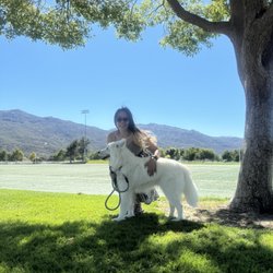 Wolf Creek Park - Nice and windy park