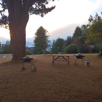View Crest Lodge - View from porch... Can see the ocean through the trees and could hear the sea lions. - Hotels Near Me - Trinidad, California