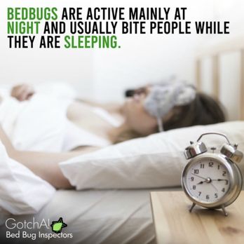 GotchA! Bed Bug Inspectors - #bedbuginfo #bedbugbites - Pest Control Near Me - Merrick, New York GotchA! Bed Bug Inspectors - #bedbuginfo #bedbugbites - Pest Control Near Me - Merrick, New York