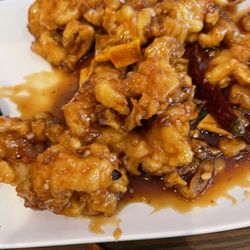 Asian Cuisine - House Special Chicken with Orange Flavor