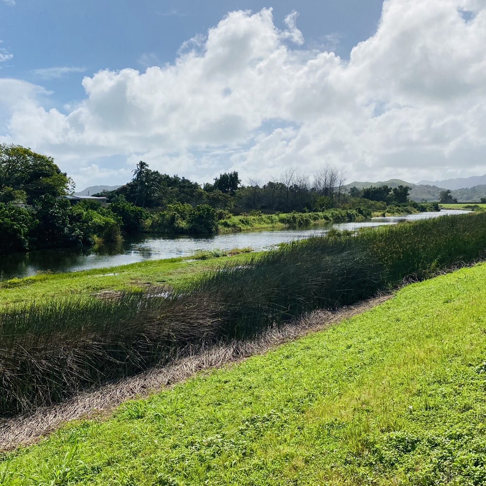 Kawainui Marsh Trail - Hiking Near Me - Kailua, Hawaii
