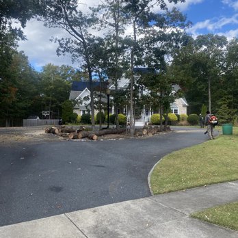 A&F Landscaping Services - 3 pine trees down at Mayslanding nj - Tree Services Near Me A&F Landscaping Services - 3 pine trees down at Mayslanding nj - Tree Services Near Me