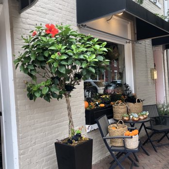 The Enchanted Florist - Florists Near Me - Alexandria, Virginia The Enchanted Florist - Florists Near Me - Alexandria, Virginia
